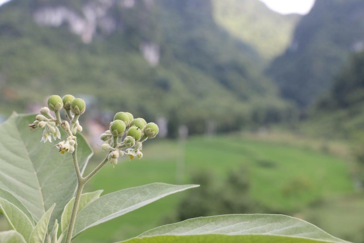 Khuoi Ky Eco Homestay Cao Bang Exterior photo